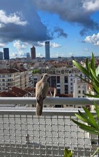 6th Arrondissement Appartement | PLEIN SUD Terrasse Garage Netflix Climatisation