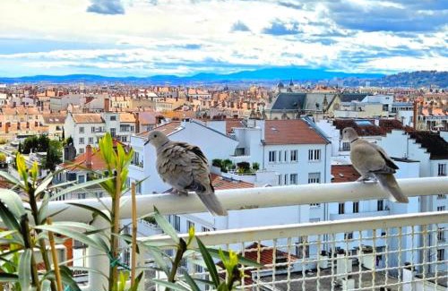 6th Arrondissement Appartement | PLEIN SUD Terrasse Garage Netflix Climatisation
