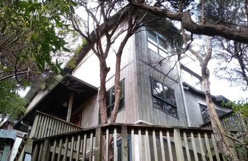 Plimmerton Maison | Plimmerton Tree Top house (one of two on hillside) - surrounded in manuka forest