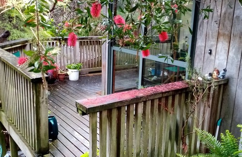 Plimmerton Maison | Plimmerton Tree Top house (one of two on hillside) - surrounded in manuka forest