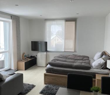 Jablonec nad Nisou Appartement | Plně vybavený krásný apartmán 1kk s balkonem, výhledem