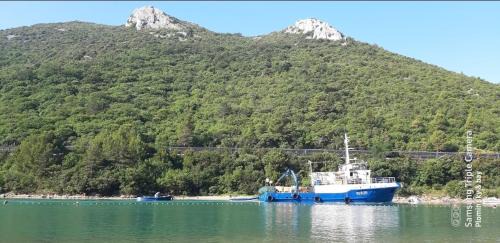 Plomin Appartement | PLOMIN SKY&BAY