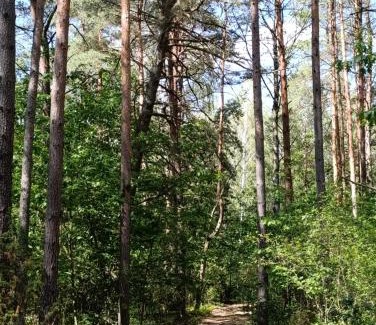 Tykocin Appartement | Po Prostu Las