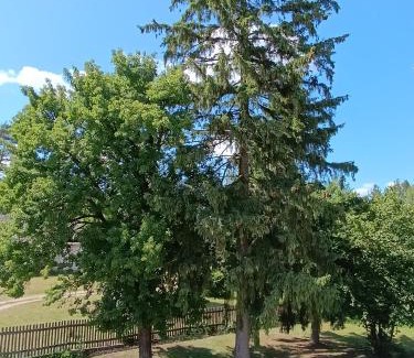Tykocin Appartement | Po Prostu Las