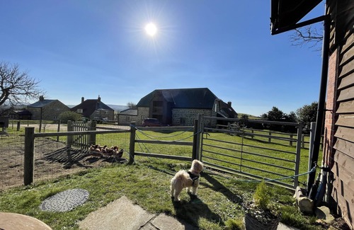 Shorwell Cottage | Poachers Hut - Captivating 1-bed Cottage Shorwell