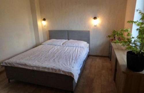Checiny Maison | Pod srebrną różą