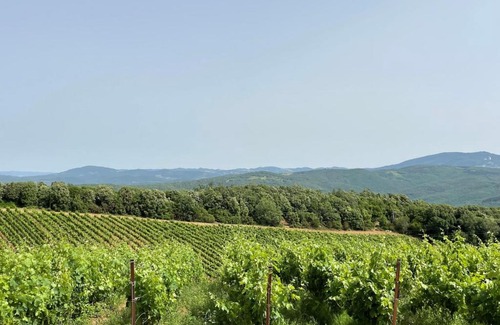 Massa Marittima Appartement | Podere Aurora