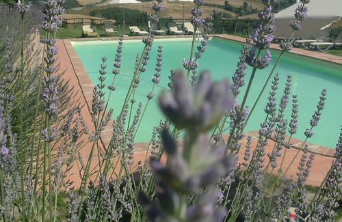 Toiano Autre | Podere della Collina