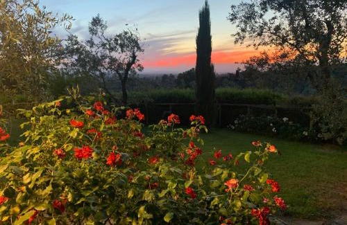 Vinci Maison | Podere Jana Antico Frantoio