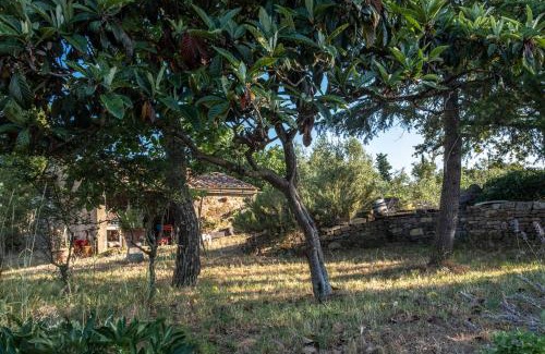 Radda in Chianti Maison | Podere Pruneto