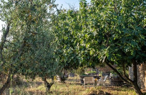 Radda in Chianti Maison | Podere Pruneto