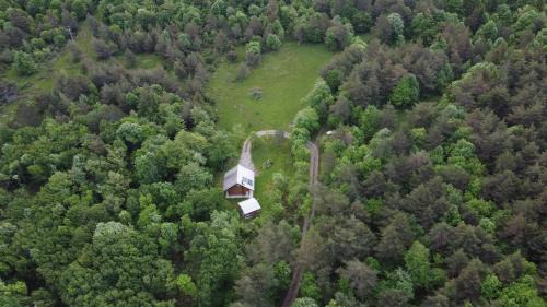 Ilirska Bistrica Chalet De Ski | Podklanci-house in the forest