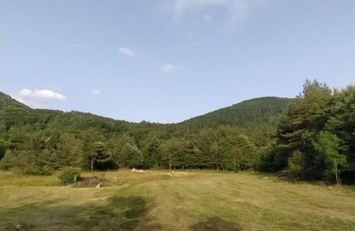 Ilirska Bistrica Chalet De Ski | Podklanci-house in the forest