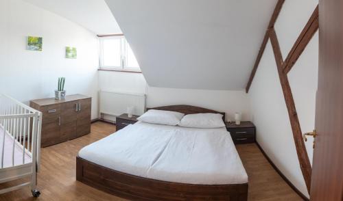 Lomnice nad Luznici Appartement | Podkrovní apartmán s výhledem na náměstí