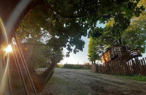 gmina Narew Cabine | Podlasie Domek na drzewach