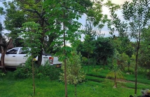 Naro Moru Cottage | Podocarpus Cottages -02