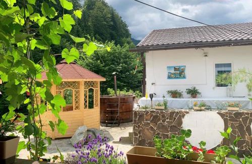 Cartisoara Cabine | Podul De Brazi