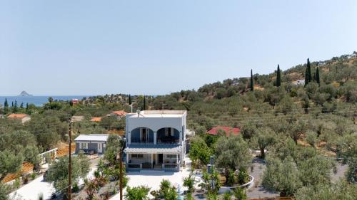 Galatas Maison | Poetree Echo by Green Poetree Houses