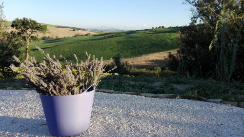 Montelupone Appartement | Poggio delle Lavande
