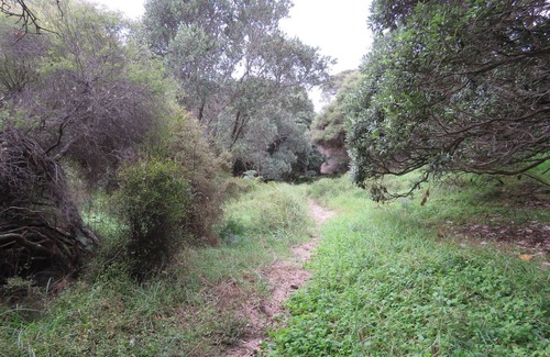 Pakiri Cabine | Pohutukawa Cottage - Seclusive cabin hideaway