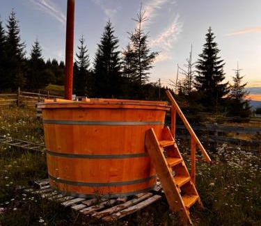 Neagra Sarului Cabine | Poiana cu Sinziene