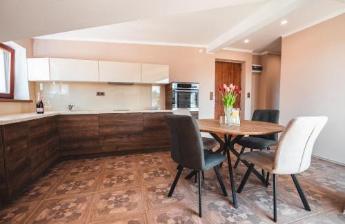 Podoli Appartement | POINT flat, beautiful view from terrace to Prague Castle
