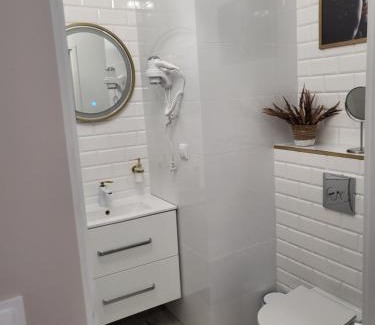 Zyrardow Appartement | Pokój z własną kuchnią i łazienką Żyrardów SUNTAGO