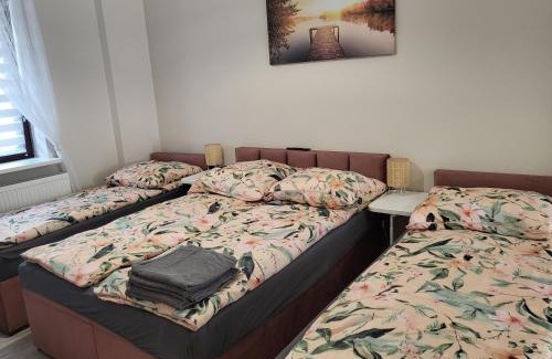 Zyrardow Appartement | Pokój z własną kuchnią i łazienką Żyrardów SUNTAGO