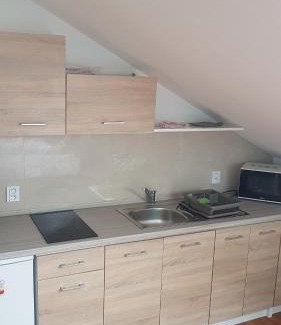 Uhersky Brod Appartement | pokoj s kuchynì pro tři