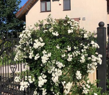 Lidzbark Welski Maison | Pokoje goscinne na Wodnej