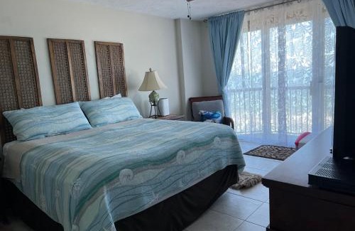 Ponce Inlet Appartement | Ponce Inlet Florida Breathtaking Oceanfront Penthouse Villa!