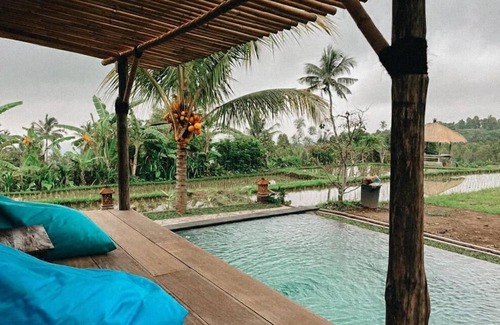 Sukasada Cabine | Pondok Apsari 2