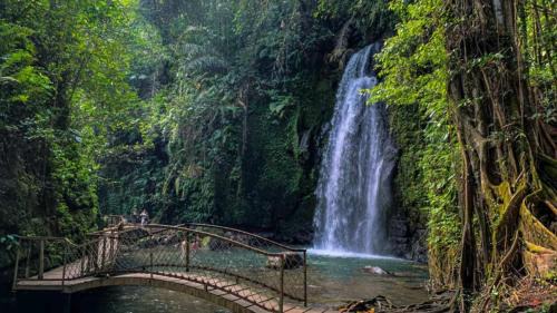 Melayang Cabine | Pondok D Angga Tampaksiring
