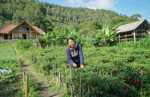 Kintamani Station Balnéaire | Pondok Manoka