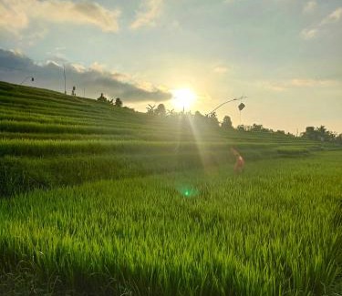 Sukasada Maison | Pondok Pengaringan Loon