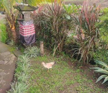 Sukasada Maison | Pondok Pengaringan Loon