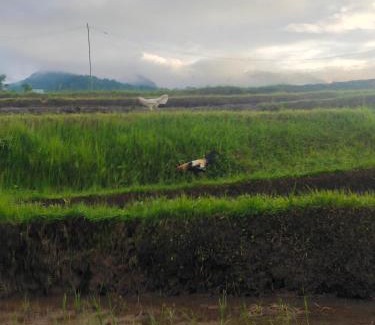 Sukasada Maison | Pondok Pengaringan Loon
