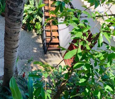 Pontal Maison | Pontal Flats