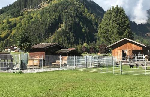 Bichlbach Appartement | Pony-Ziegen-Hasen-Ranch Bichlbach
