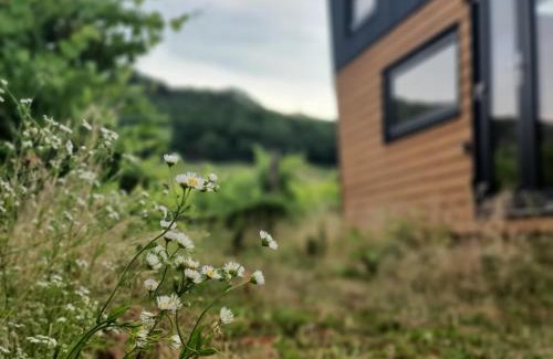 Kaptalantoti Appartement | POP Tiny House Balaton