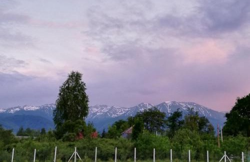 Avrig Maison | Popasul Montan - Piscina, Tenis & Vedere Munte