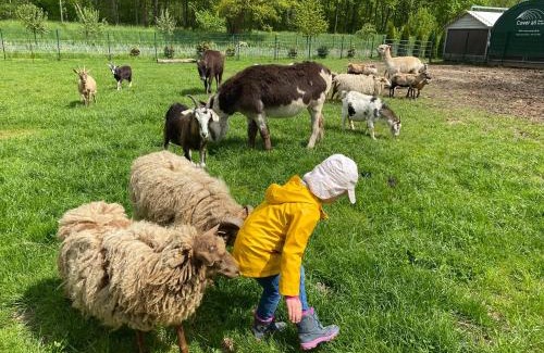 Zepelin Maison | Poppes Ranch Bauerhof & Campingplätze