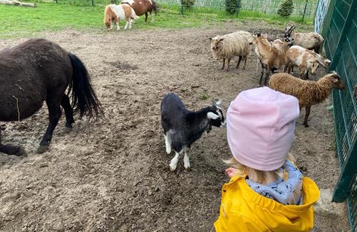 Zepelin Maison | Poppes Ranch Bauerhof & Campingplätze