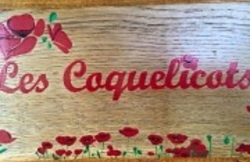 Peyrignac Chalet De Ski | Les Coquelicots -------