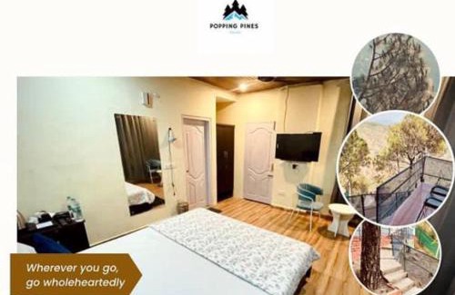 Kasauli Hôtel | Popping Pines Resort