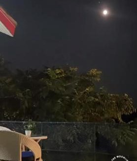 Kasauli Hôtel | Popping Pines Resort