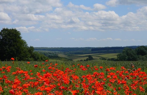 Chedworth Autre | Poppy Glamping Pod