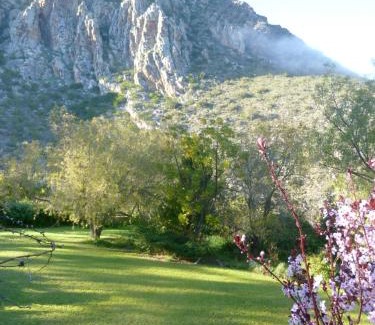 Villiersdorp Maison | Porcupine Hills Olive and Guest Farm