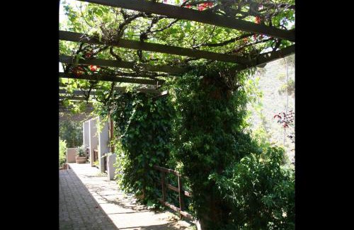 Villiersdorp Maison | Porcupine Hills Olive and Guest Farm