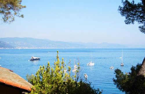 Pedale Appartement | Portofino Seaview Apartment, 50 meters from the beach, free parking, air conditioning